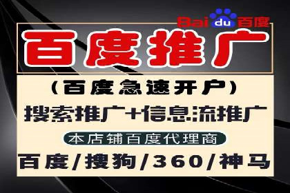 SEM运营推广助力行业领导地位